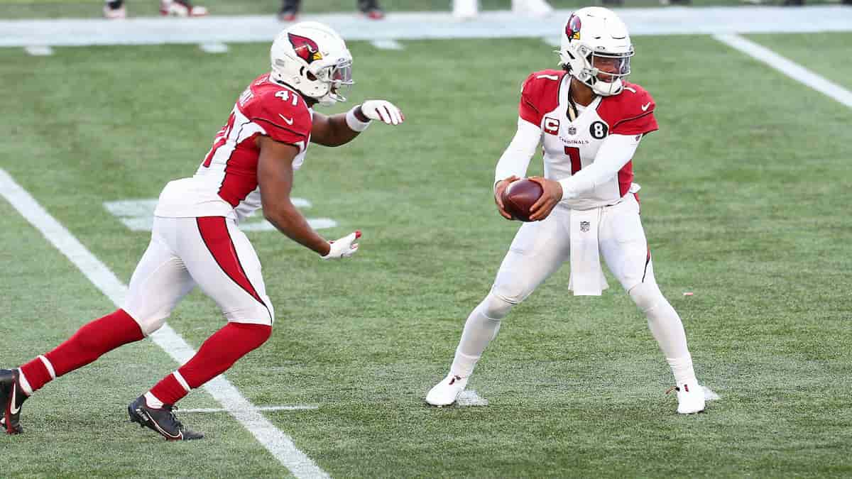 Minnesota Vikings predictions: Week 8 vs. Cardinals North News - Bally  Sports