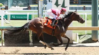 Alcibiades Stakes Predictions Best Bets