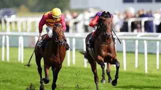 Champagne Stakes Predictions Best Bets