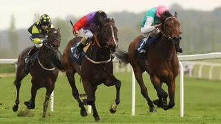 Pippin Stakes Predictions 2022