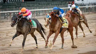 Noble Damsel Stakes