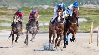 Horse Racing Picks Weekend
