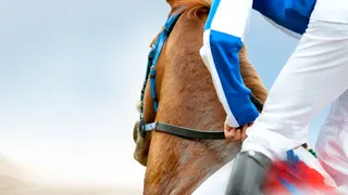 Best Horse Racing Picks