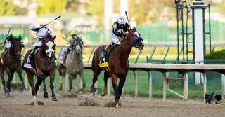 Horseracing Integrity And Safety Act
