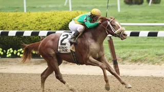 Peter Pan Stakes Belmont Park Predictions