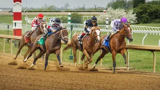 Sycamore Stakes Predictions