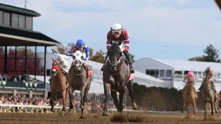 Perryville Stakes (Keeneland) Predictions