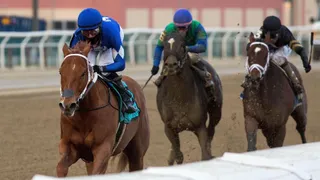 Best Horse Racing Bets Today December 2
