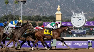 Best Horse Racing Bets Today December 26 Santa Anita