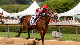 Best Horse Racing Bets Today Oaklawn Park, February 24