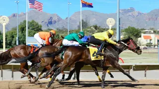 Best Horse Racing Bets Today Gulfstream Park March 2