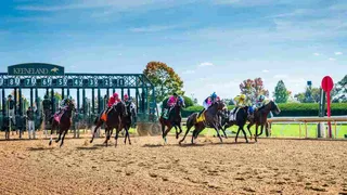 Keeneland Grounds Race Course 2024 Horse Racing Bets