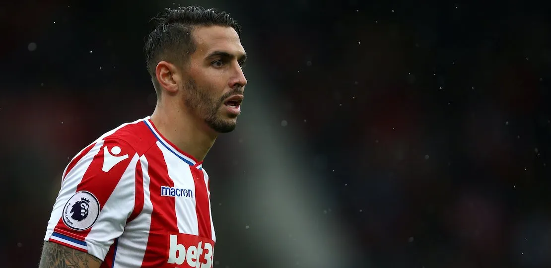 Geoff Cameron, Stoke City