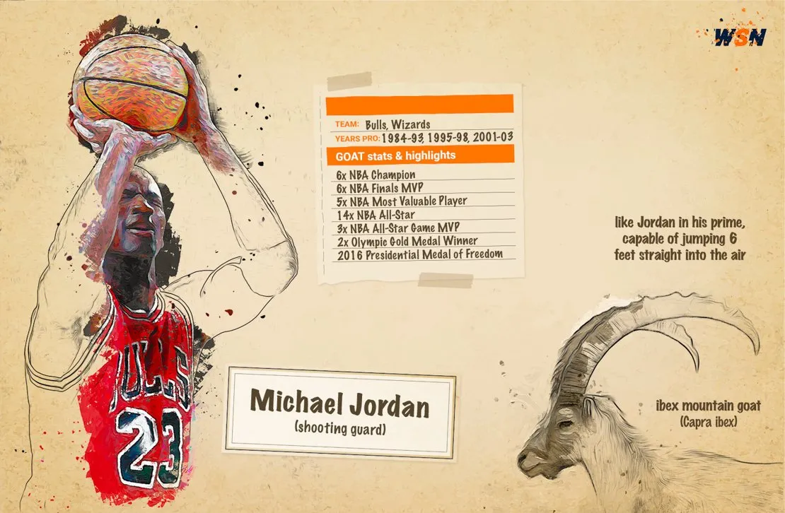 Michael Jordan GOAT