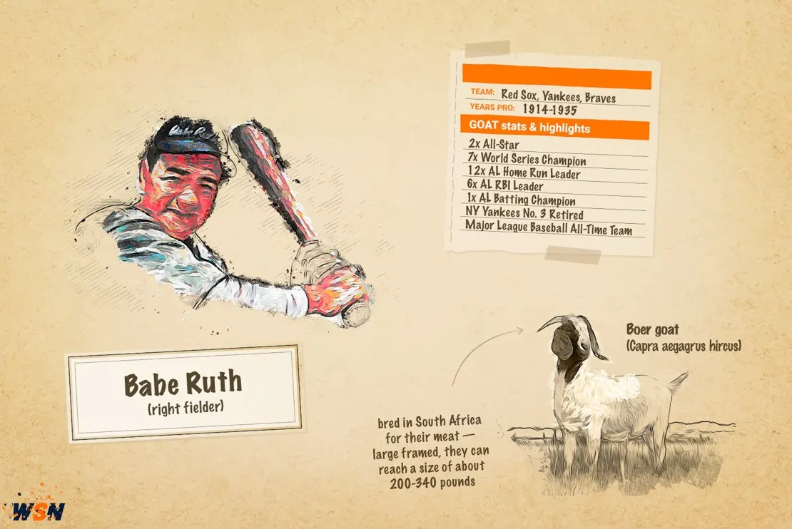 Babe Ruth GOAT