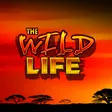 1. The Wild Life