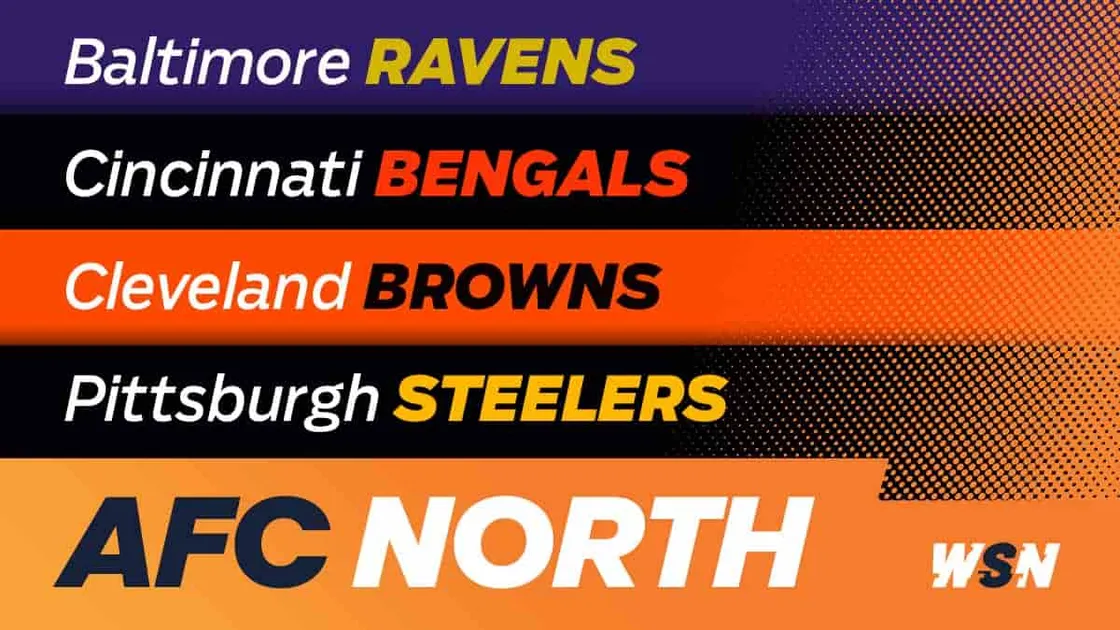 AFC North Division Odds, Predictions, Betting Picks 2023/24