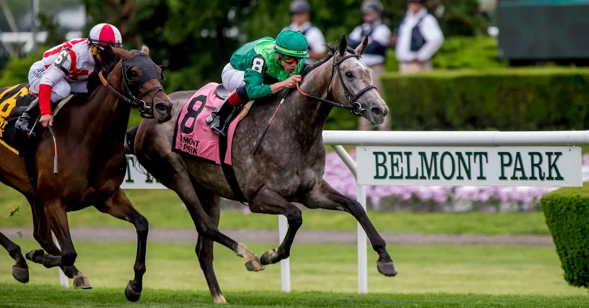 Betting on Belmont Park – WWD