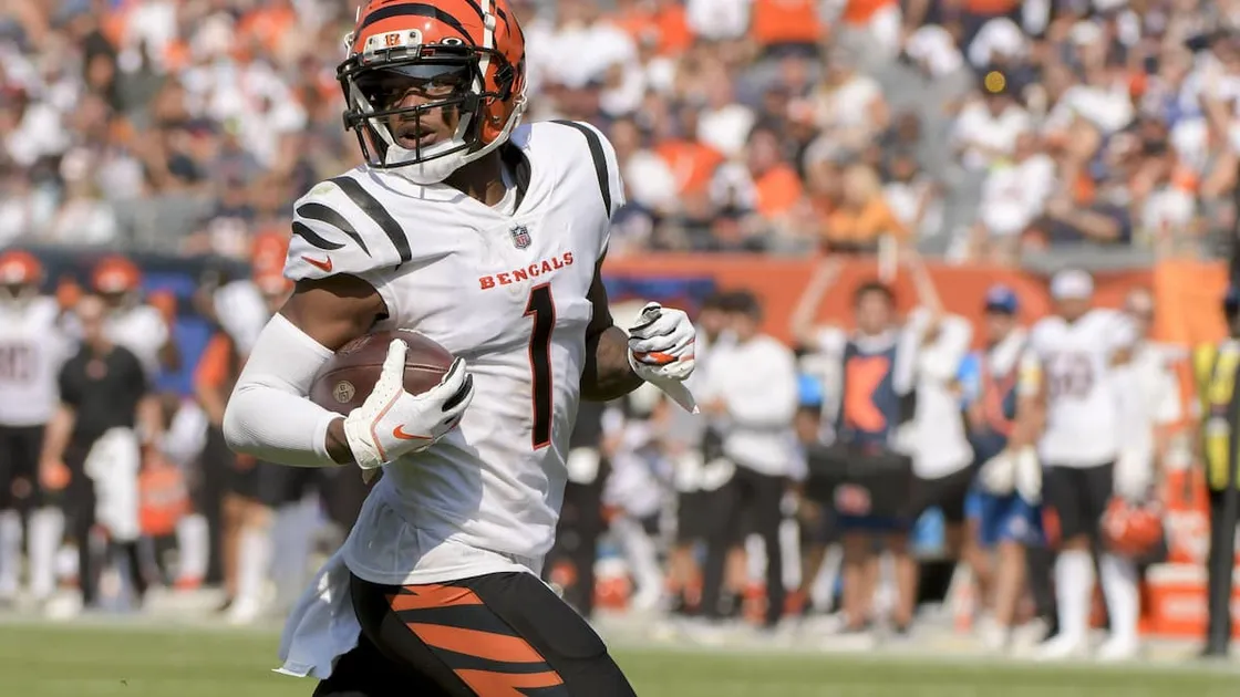 Ravens vs Bengals Predictions, Picks & Odds