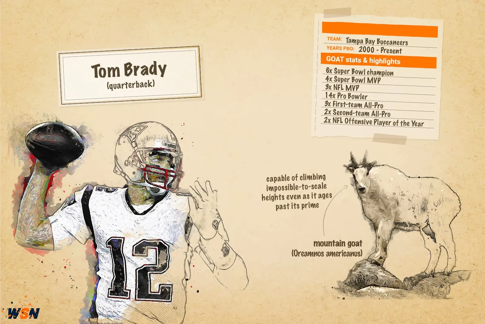 Tom Brady Tampa