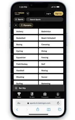 BetMGM Olympics Sports Available