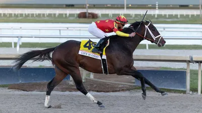 Woodward Stakes Predictions: For Life Is Good This Race Should Be Nothing More than a Prep