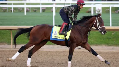 Pennsylvania Derby: Tawny Port Should Be Ready to Run His Absolute Best With Eight Weeks Between Races
