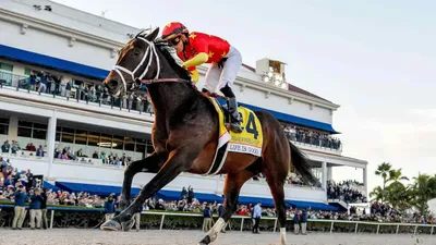 Whitney Stakes: Americanrevolution Is Still Just One Notch Below the Very Best