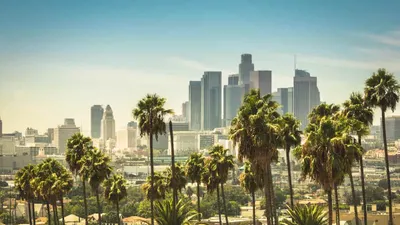 Pressure Growing for California to Legalize Sports Betting