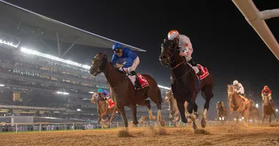 Dubai World Cup (Meydan Racecourse) Predictions, Betting Odds & Picks 2022