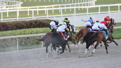 Hutcheson Stakes Predictions, Picks, Betting Odds 2022 (Gulfstream Park)