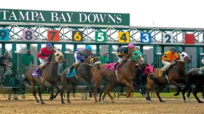 Best Horse Racing Picks This Weekend Tampa Bay Downs