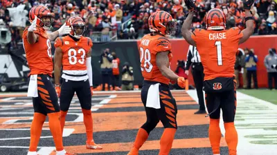 Cincinnati Bengals vs Cleveland Browns Week 18 Predictions, Odds, Picks