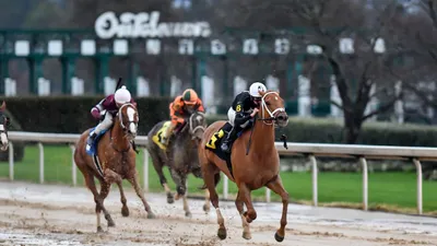Poinsettia Stakes Predictions, Betting Odds, Top Picks (Oaklawn Park)