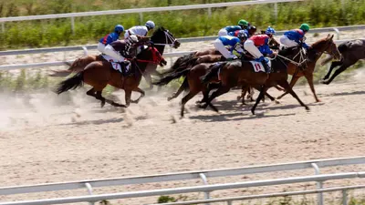 Best Horse Racing Picks This Weekend: Prairie Meadows, Belmont and Delaware Park