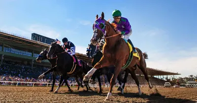 San Felipe Stakes (Santa Anita Park) Predictions, Odds & Picks