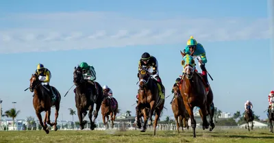  Royal Delta Stakes (Gulfstream Park) Predictions, Odds & Picks