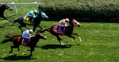 Lecomte Stakes (Fair Grounds) Predictions, Odds & Picks