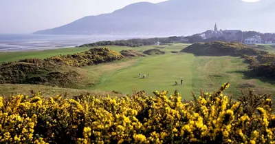 Royal County Down Golf Club - Course Guide