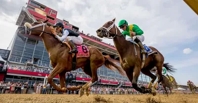 Pimlico Picks, Tips and Handicapping