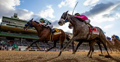 2020 Fantasy Stakes at Oaklawn Park - Predictions & Betting Odds
