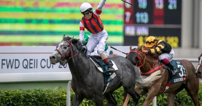 2020 FWD QEII Cup (Sha Tin) - Predictions and Betting Odds