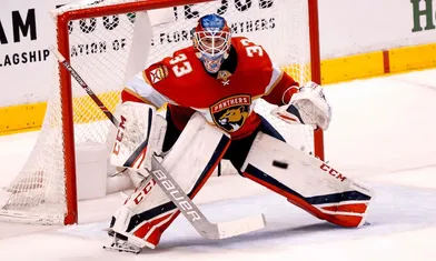 Boston Bruins vs Florida Panthers - Prediction and Odds