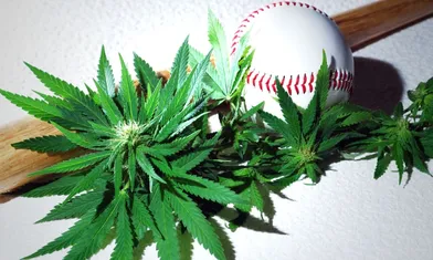 MLB Removes Marijuana From Drugs of Abuse List