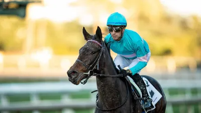 Breeders’ Cup Classic Predictions: Unbeaten and Untested Flightline Headlines a Field of Eight