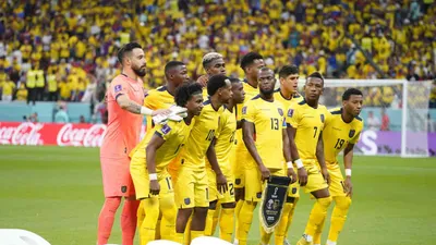 Ecuador vs Senegal: Winner Goes Through From Group A