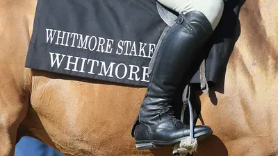 Whitmore Stakes: Edge to Edge Tops a Wide Open Field of Ten Male Sprinters