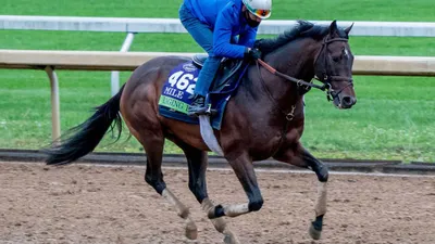 Belmont Derby: Wizard of Westwood Looks to Have the Most Speed of the Race