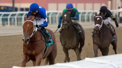 Woodward Stakes Odds: Tyson Has a Big Shot to Triumph at Aqueduct