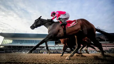 Best Horse Racing Bets Today | Aqueduct, November 11